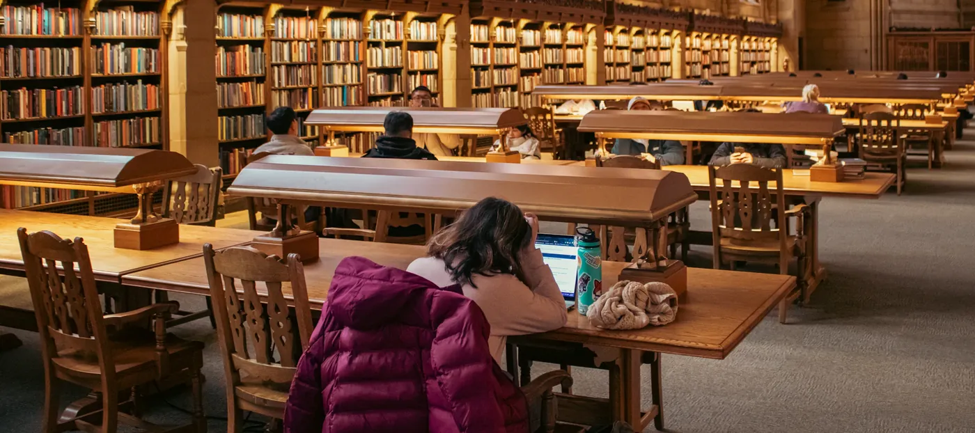 Students studying in a library